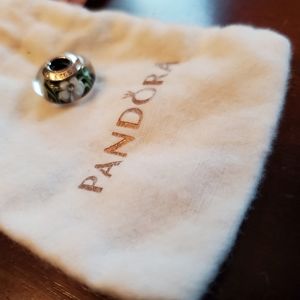 Pandora charm